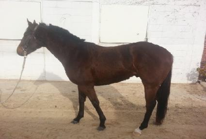 �۽�Ʈ������ ����