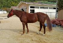 ������¯ (GABOGAPJJANG) ����