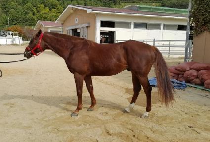 ������¯ ����