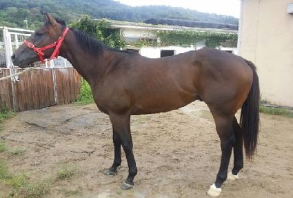 �Ÿ���ī��Ƽ ����