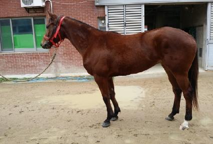 ���ȭ�� ����