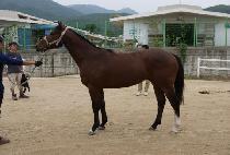 ��ö���� (GANGCHEOL CHUKJE) ����