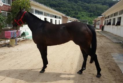 ��Ŭ����Ư�� ����