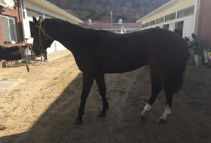 ���úҸ� ����