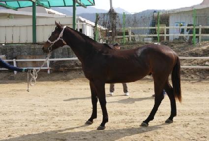 Ŭ�����Ŀ� ����