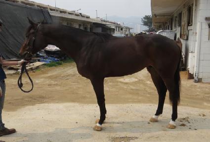 �Ͽ��̺��� ����