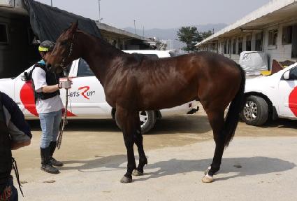 �¾����Ŀ� ����