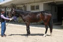 ����õ�� (DAEHAN CHEONHA) ����