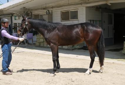 ����õ�� ����