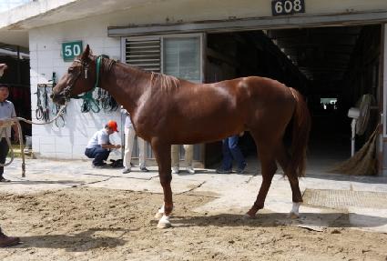 ����Ʈ���� ����