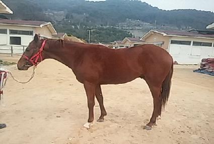 �߰ſ��Լ� ����