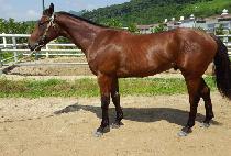 ����Ÿ�� (WORLD TOWER) ����