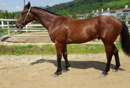 ����Ÿ�� ����