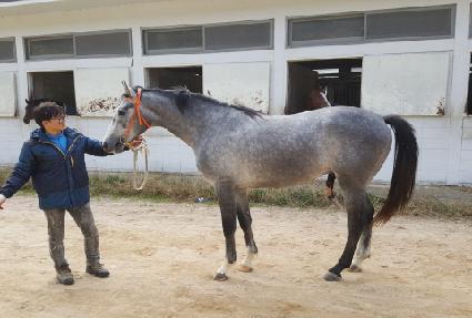 �հ����ļ� ����