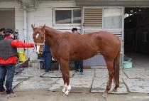 �������� (JEONGEUN EUTTEUM) ����