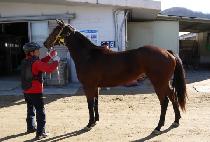 ��Ʈ�� (BIG ENTRY) ����