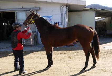 ��Ʈ�� ����