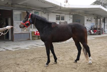 �����Ѻ��� ����