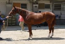 õ���Ͽ� (CHEONJAEILU) ����