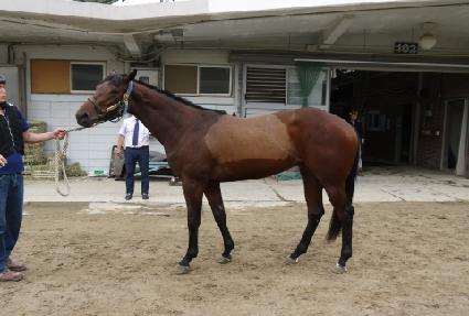 ��Ʈ��콺 ����