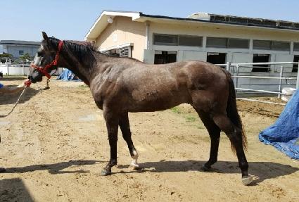 �׷δϾ� ����