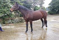 SOUTHERN TAP picture