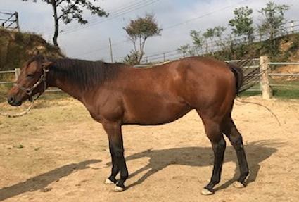 ����Ʈ�������� ����