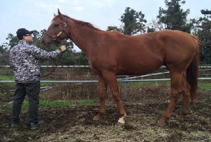 ��ƼŬ�� ����