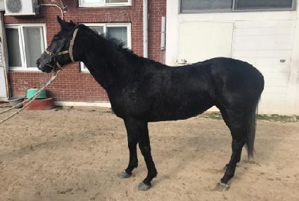 �������ʴ� ����