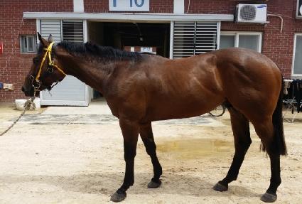 �ο�ŷ�� ����