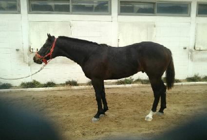 ��ó���� ����