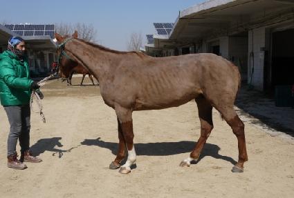 ����ŷ ����