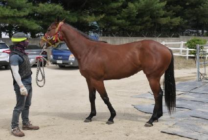 ���÷��� ����