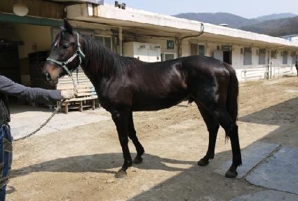 ����Ǯ��Ű ����