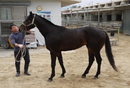 �س��ָ� ����