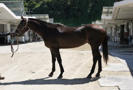 �Ͻ¹��� ����