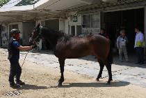 ���̴׸޸� (SHINING MEMORY) ����