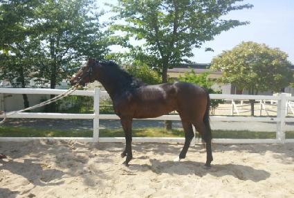 �帲��Ʈ��Ʈ ����