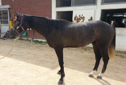 ����̵�ŷ ����