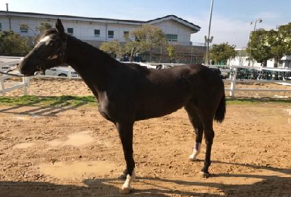 ��������Ʈ ����