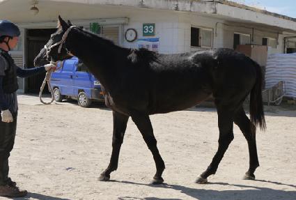 ǻó�� ����