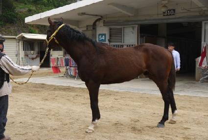 �����Ǽ��� ����