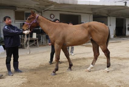 ������ ����