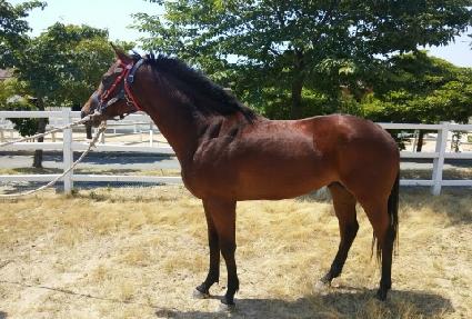 Ÿ�������� ����