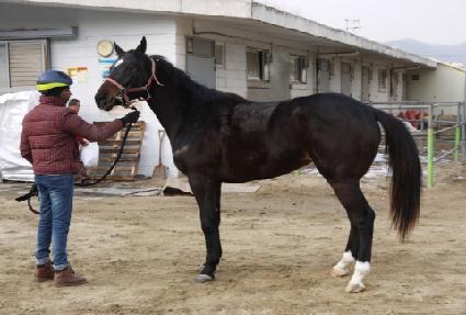 ������̳� ����