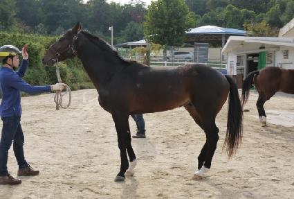 õ�� ����