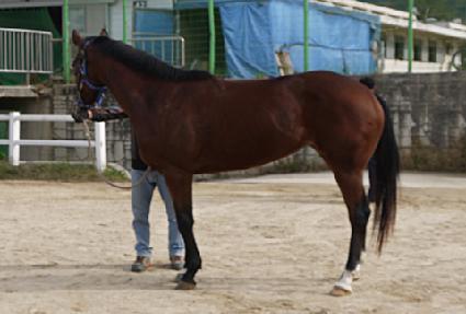 õ�� ����