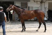 ����ũ���� (SUPER CREED) ����