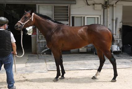 ����ũ���� ����