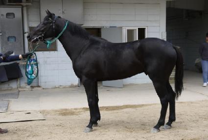 �翬���� ����